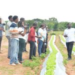 Samuel Agyemang, Co-Founder of Defarmercist Group, takes guests on a tour of the vegetable center (1)