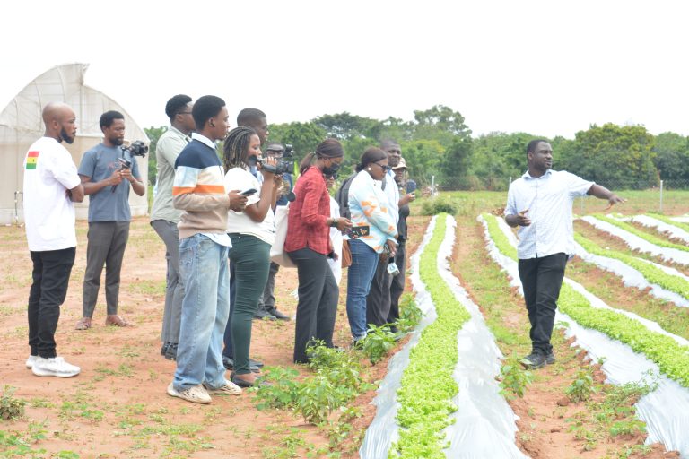 Samuel Agyemang, Co-Founder of Defarmercist Group, takes guests on a tour of the vegetable center (1)