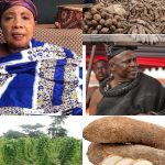 c27e5baa-144e-4929-8c37-e860e1ddc534-600x470