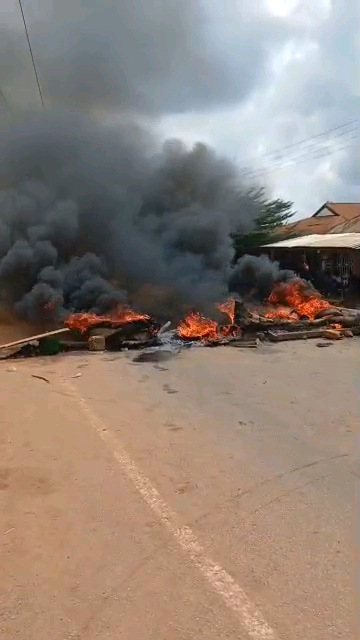 vf_VID-20251014-WA0267_26000