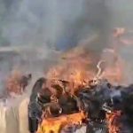 vf_VID-20251022-WA0144_20000