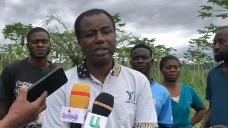 vf_VN20251004_084711_56000