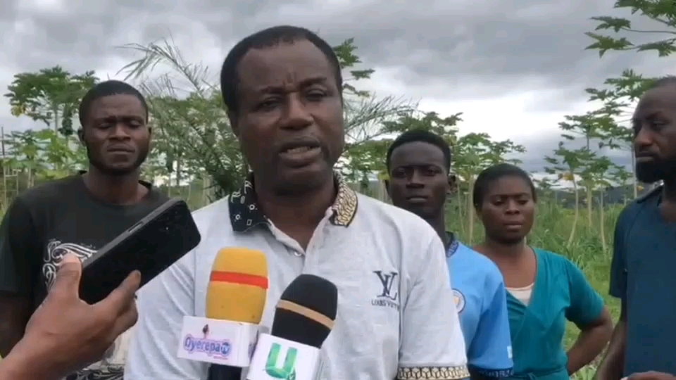 vf_VN20251004_084711_56000