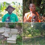 Screenshot_20251115-205303_copy_540x537