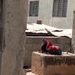 Screenshot_20251230_170046_WhatsApp (1)