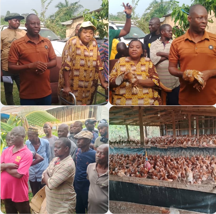 Screenshot_20260114-093754