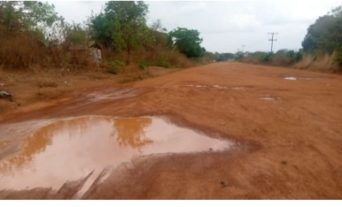 Screenshot_20260128-101643_copy_386x234