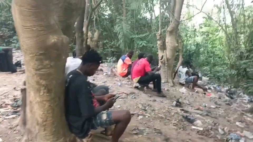 vf_VID-20260115-WA0553_40000_copy_960x540