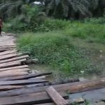 37d8d815-23cf-4f13-bfbe-f16aebb4df8a