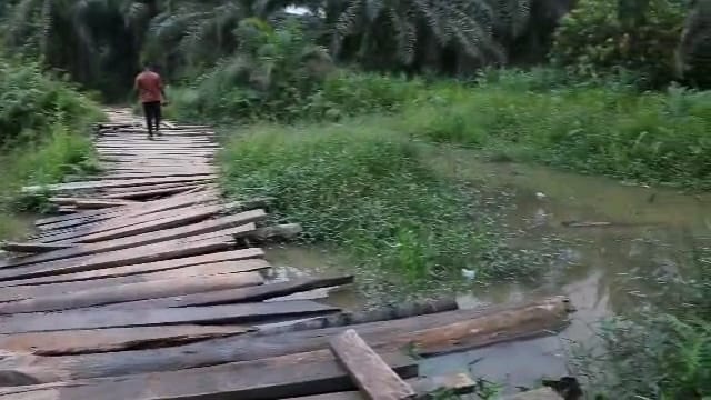 37d8d815-23cf-4f13-bfbe-f16aebb4df8a