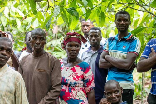 FB_IMG_1772060599189