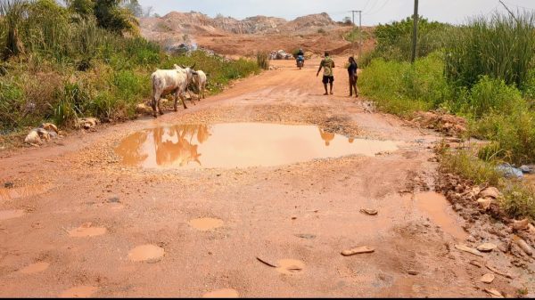 Screenshot_20260204-0700162-600x337