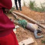 vf_VID-20260206-WA0384(1)_10000