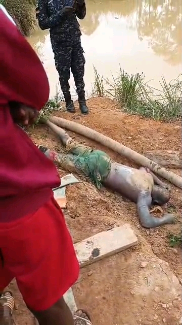 vf_VID-20260206-WA0384(1)_10000