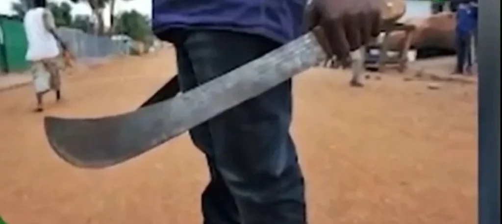 WhatsApp Image 2026-03-31 at 15.36.57-1200x535