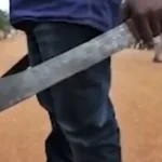 WhatsApp Image 2026-03-31 at 15.36.57-1200x535