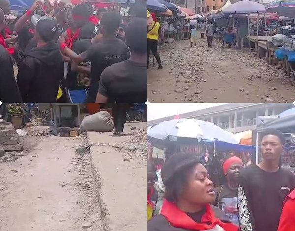 ac2e2a1a-6517-42ce-85c2-155f44b07714-600x470