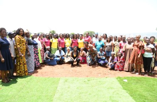 Screenshot_20260402-075244