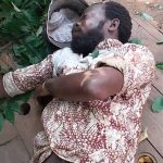 vf_VID-20260407-WA0272(1)_6000